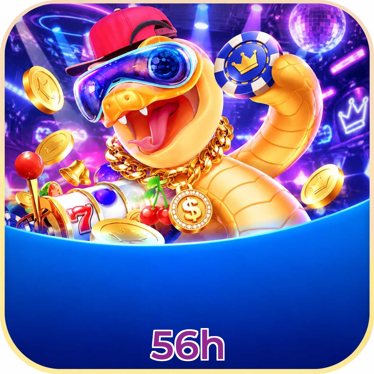 56h